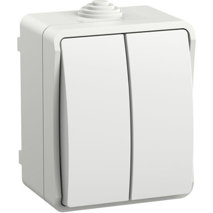 Выключатель 2-кл. IEK EVS20-K01-10-54-DC ОП Форс IP54 ВС20-2-0-ФБ